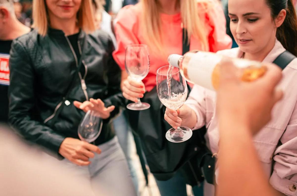 Festival vína v Plasech 2026