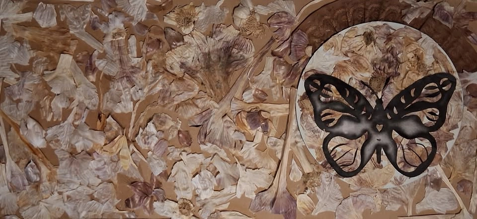 Tóny a verše pro archív