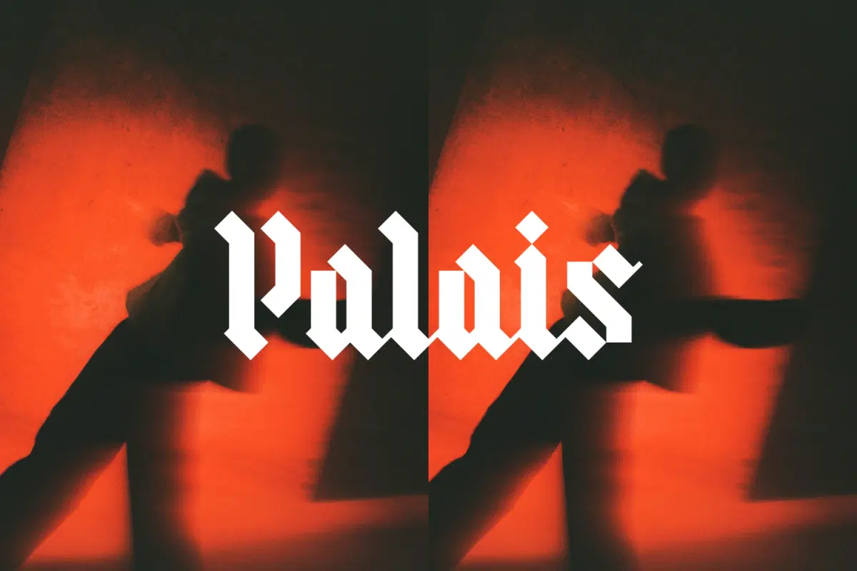 Ballroom at Palais: anu