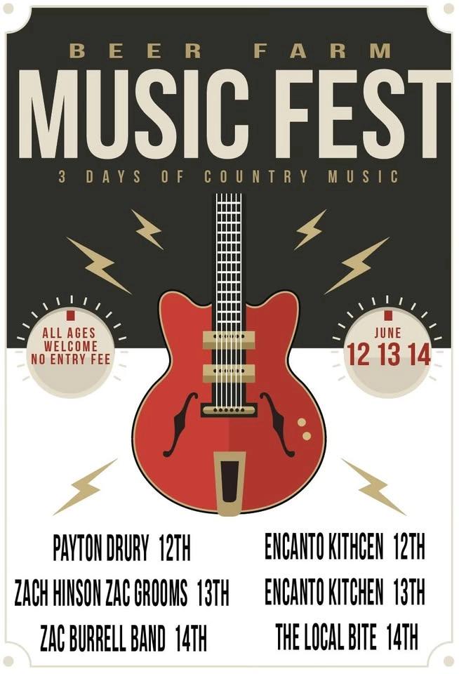 Beer Farm Country Music fest at Paper Street Brewing