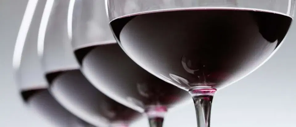 đ Vinkryssning med Brix Wine â Sauvignon Blanc Special!