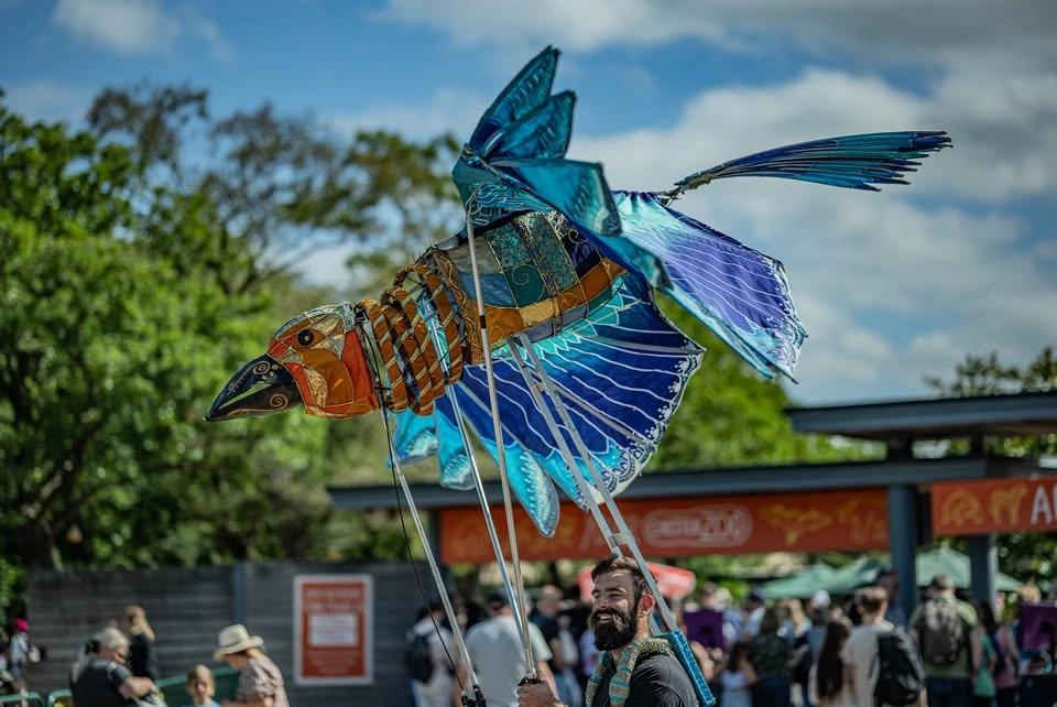 Summer evenings at Chester Zoo - Afterglow ☀