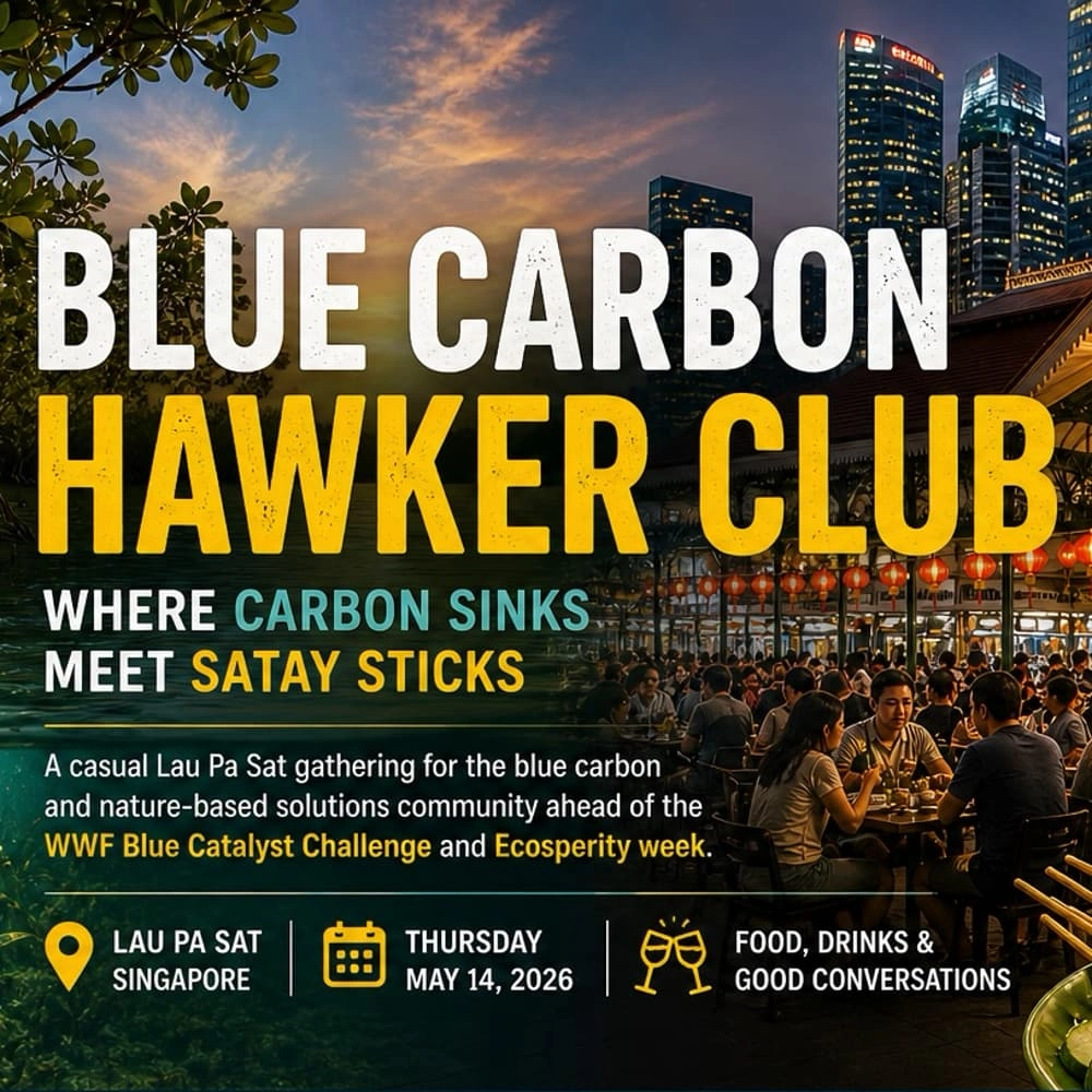 NbS Blue Carbon Networking dinner/drinks