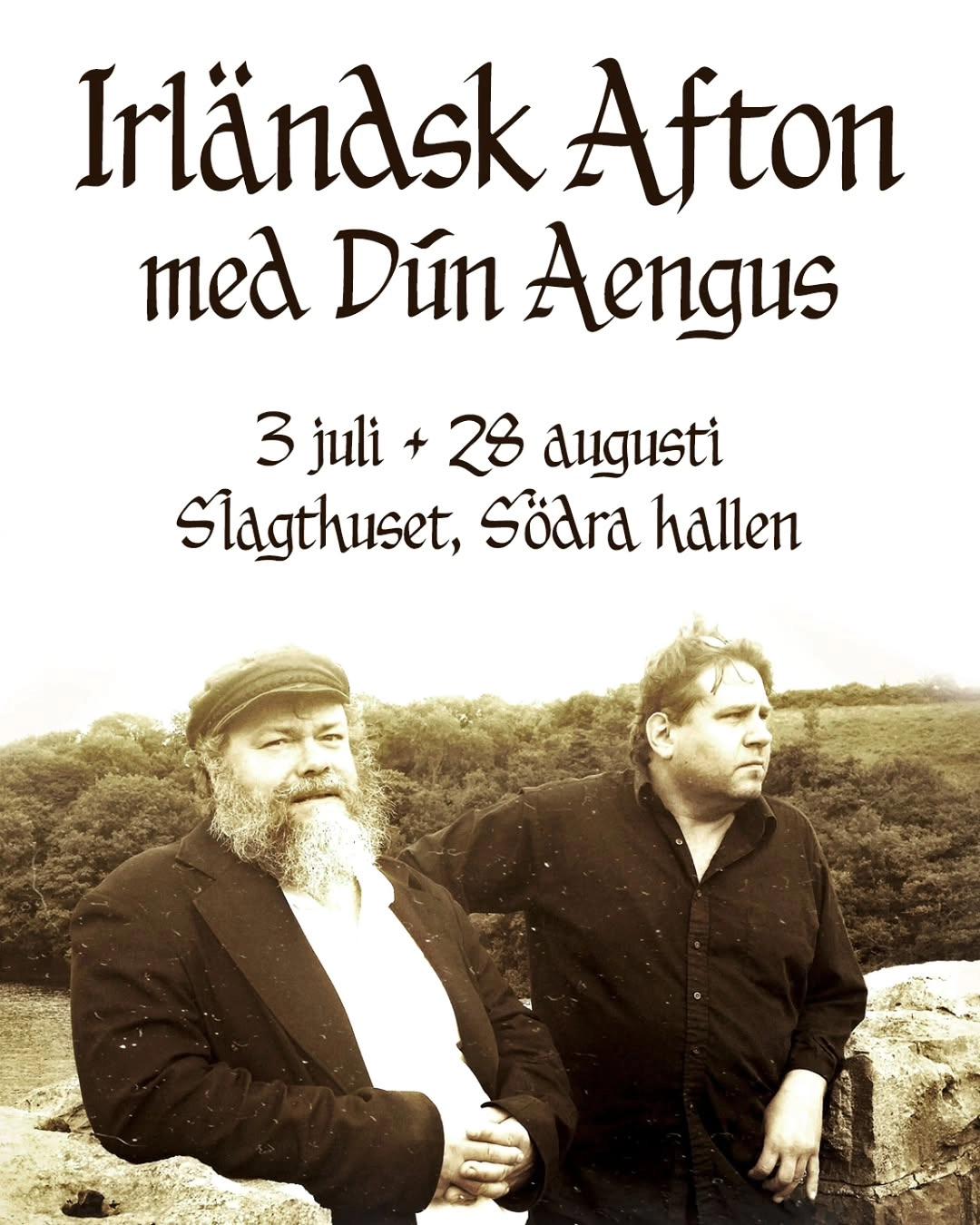 Irländsk Afton med Dún Aengus