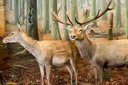 Biodiverzita Slovenska