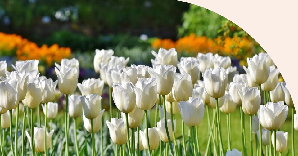 Retreat i blomstertid, tema: Andens vind