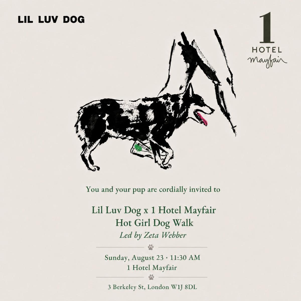 LIL LUV DOG X 1 HOTEL MAYFAIR HOT GIRL DOG WALK