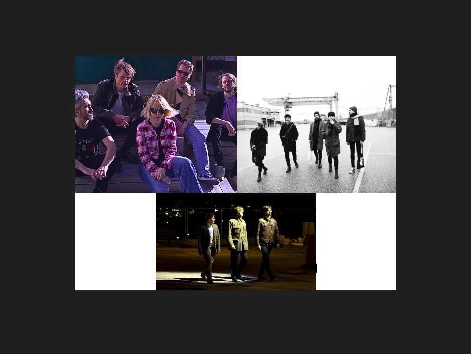 Well Adjusted + We.The Pigs + Penguins In The Desert