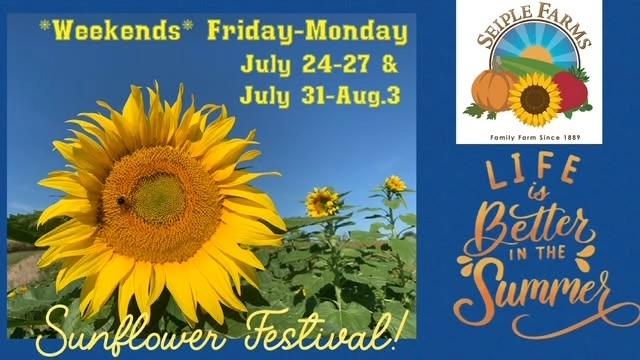 5th Annunal Sunflower/Sweet Corn Festival