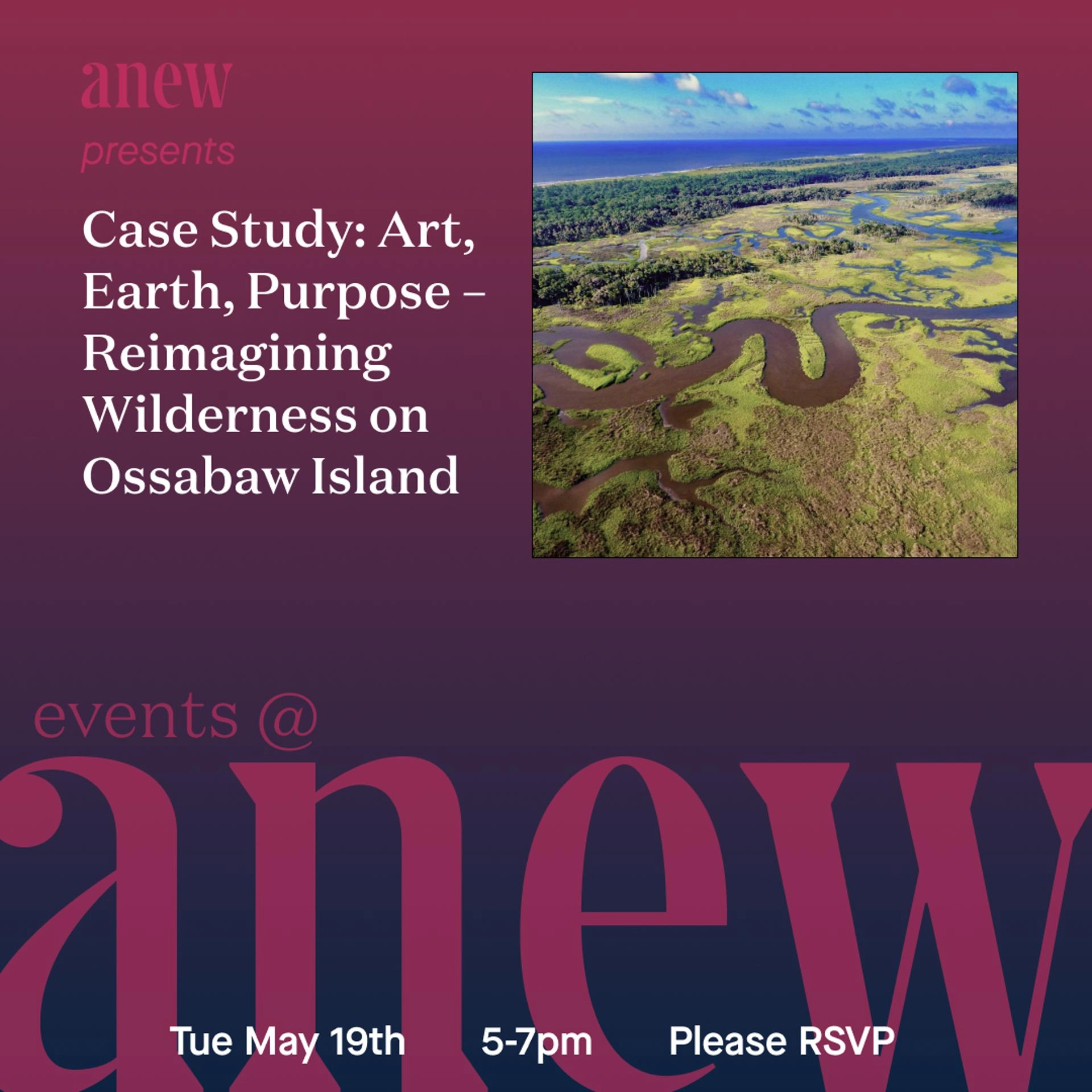 Case Study: Art, Earth, Purpose – Reimagining Wilderness on Ossabaw Island