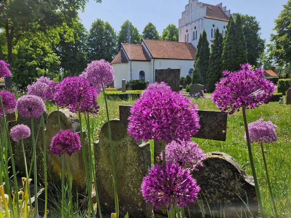 Sommarmusik i Risekatslösa kyrka