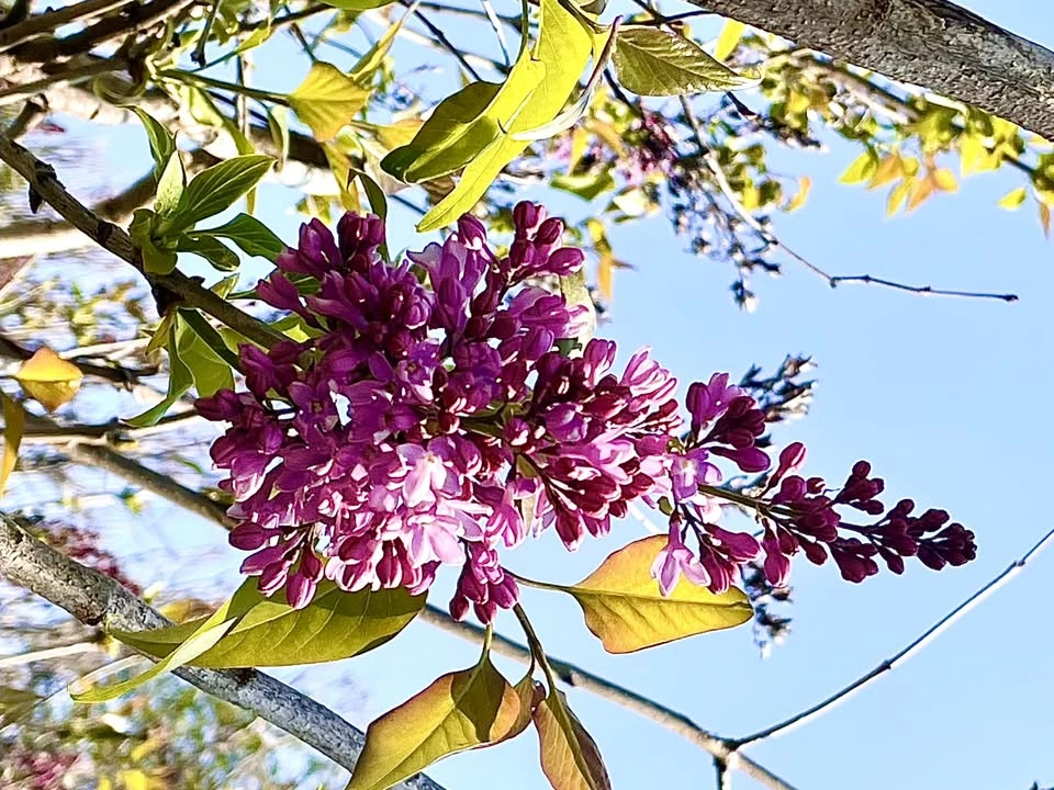 Vårkonsert med Kör!Kör!Kör!
