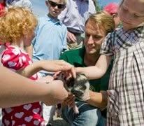 Midsommarbrunch med djursafari 21 juni!