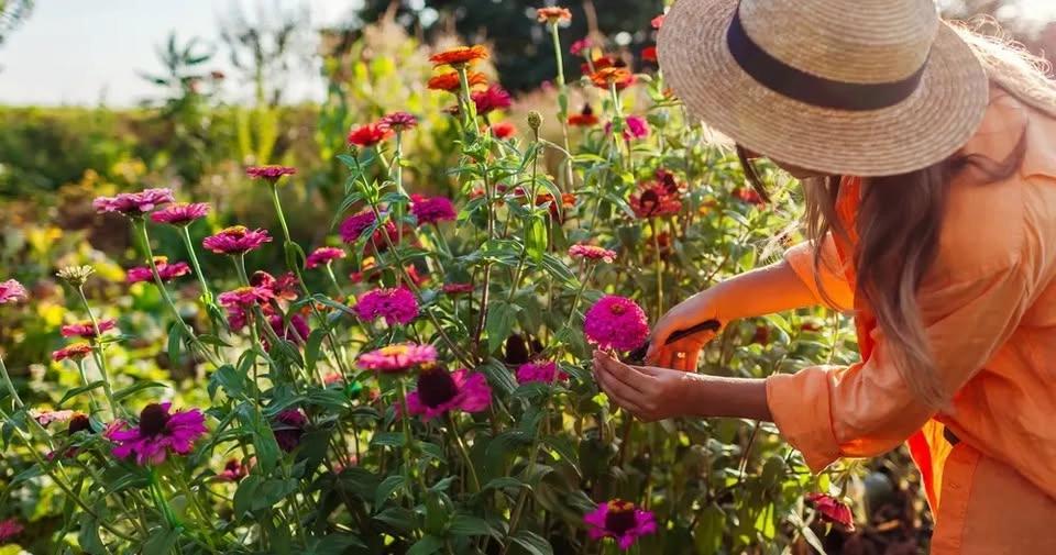 Hike & Harvest: Floral Design