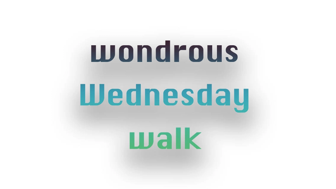 wondrous Wednesday walk