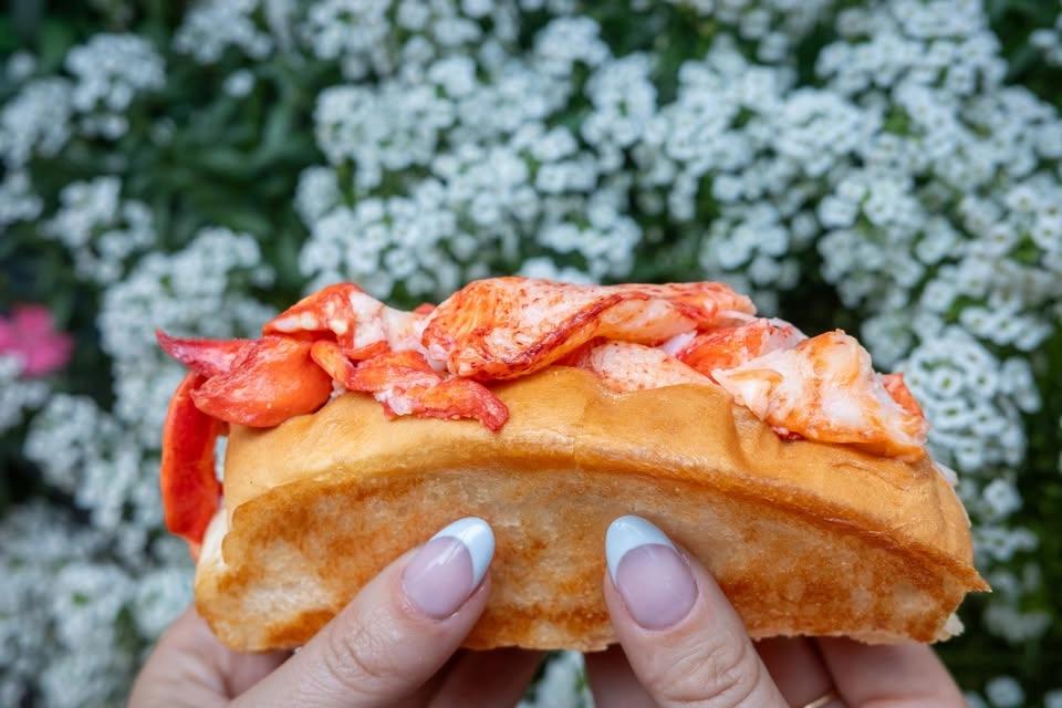 Cousins Maine Lobster at Duluth Cider (DULUTH, MN)