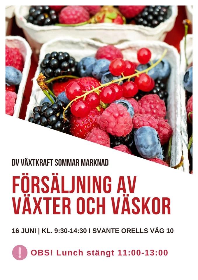 DV Växtkraft Sommarmarknad