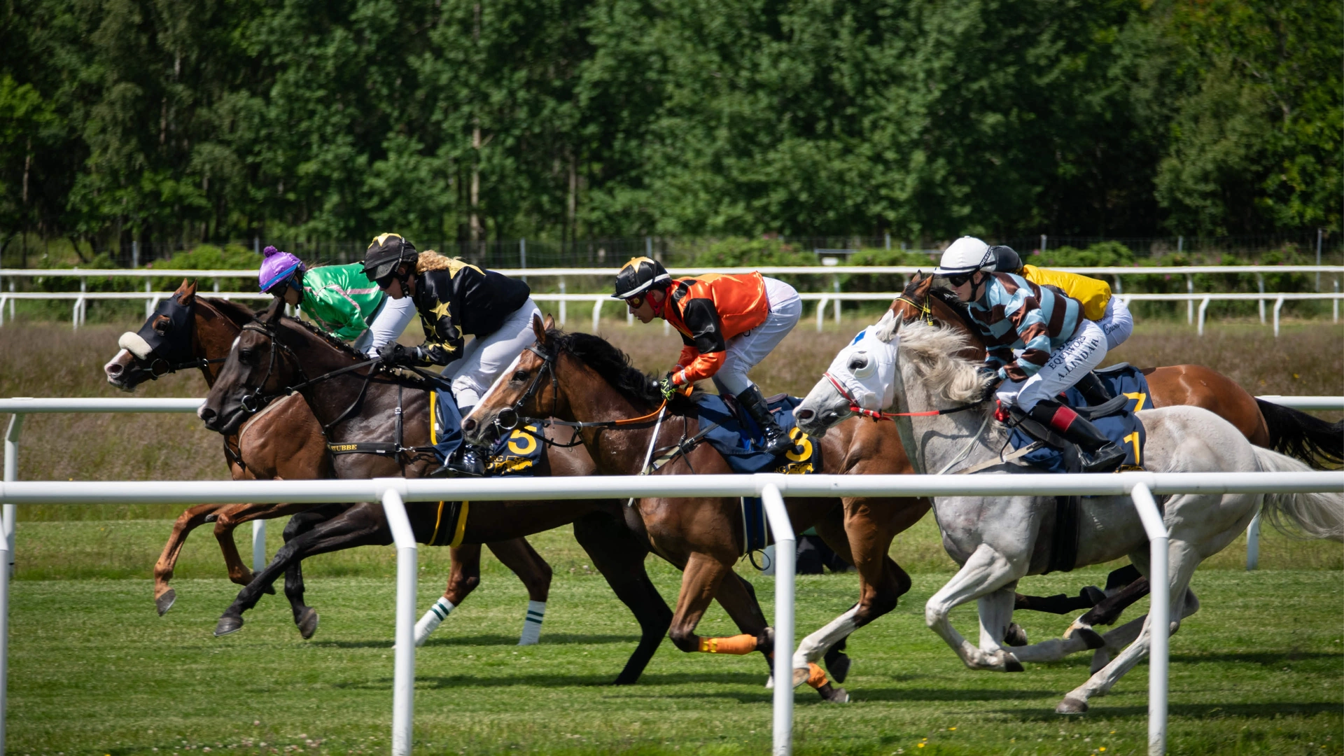 Galoppsöndag på Göteborg Galopp