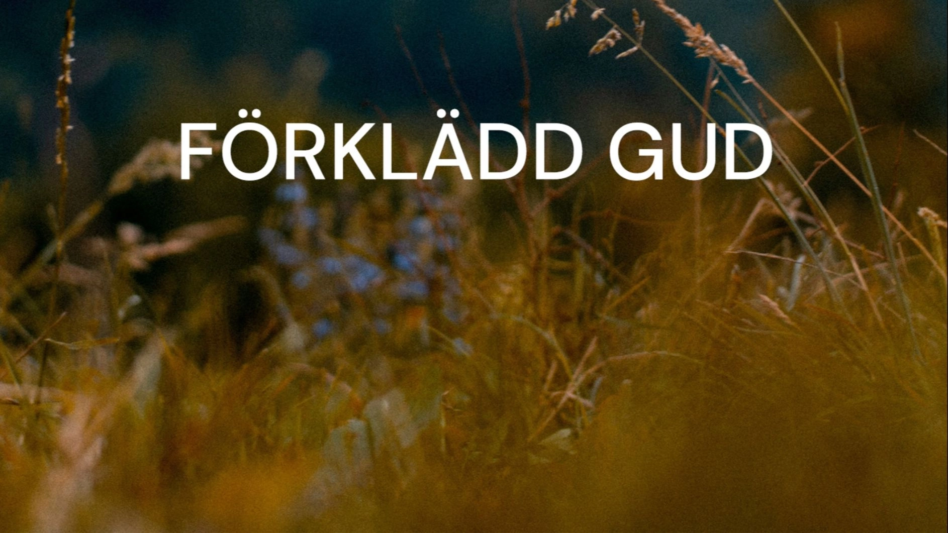 FÖRKLÄDD GUD
