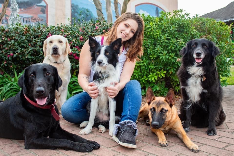 Obedience Group Dog Training Classes