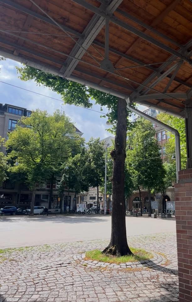Flohmarkt Lange Reihe