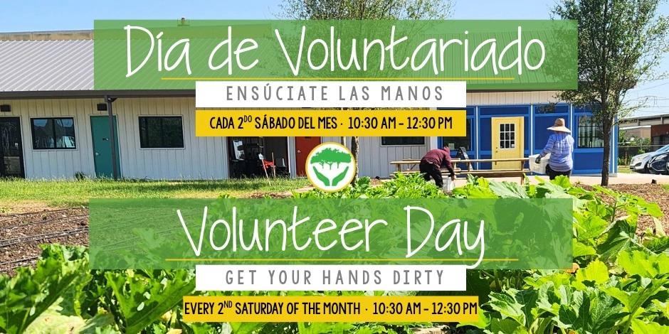 Volunteer Day - Finca Tres Robles