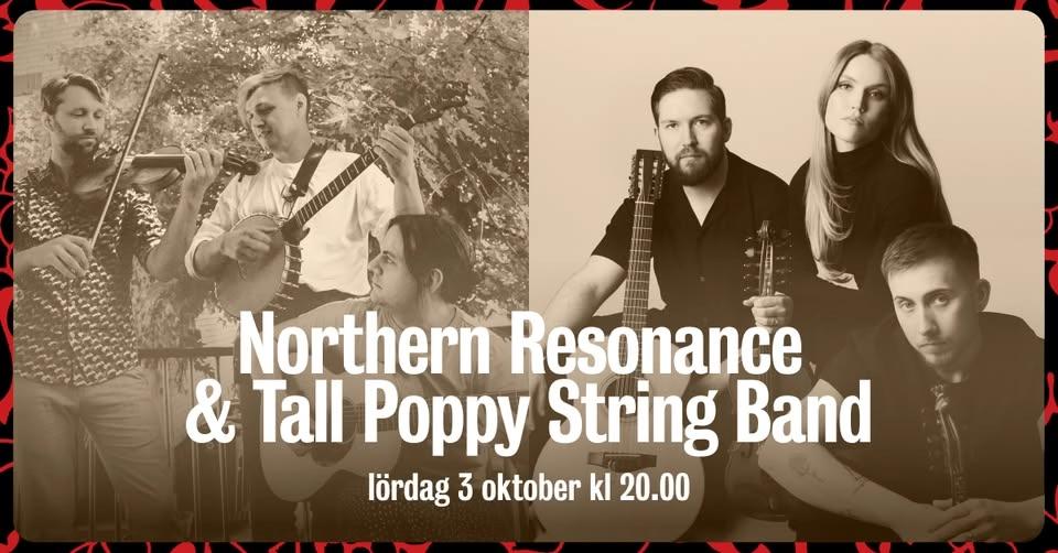 Northern Resonance & Tall Poppy Stringband