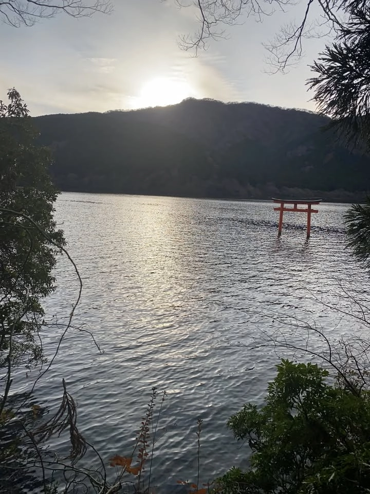 歩いて越える箱根峠|湯河原〜九頭竜神社⛩️の道をいく