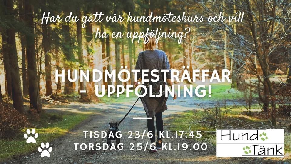 Hundmöten - uppföljningsträffar!