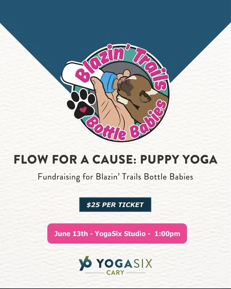 Flow For A Cause Presented by Y6 Cary