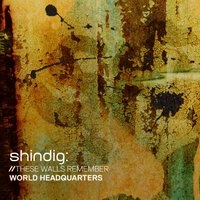 Shindig: Sasha