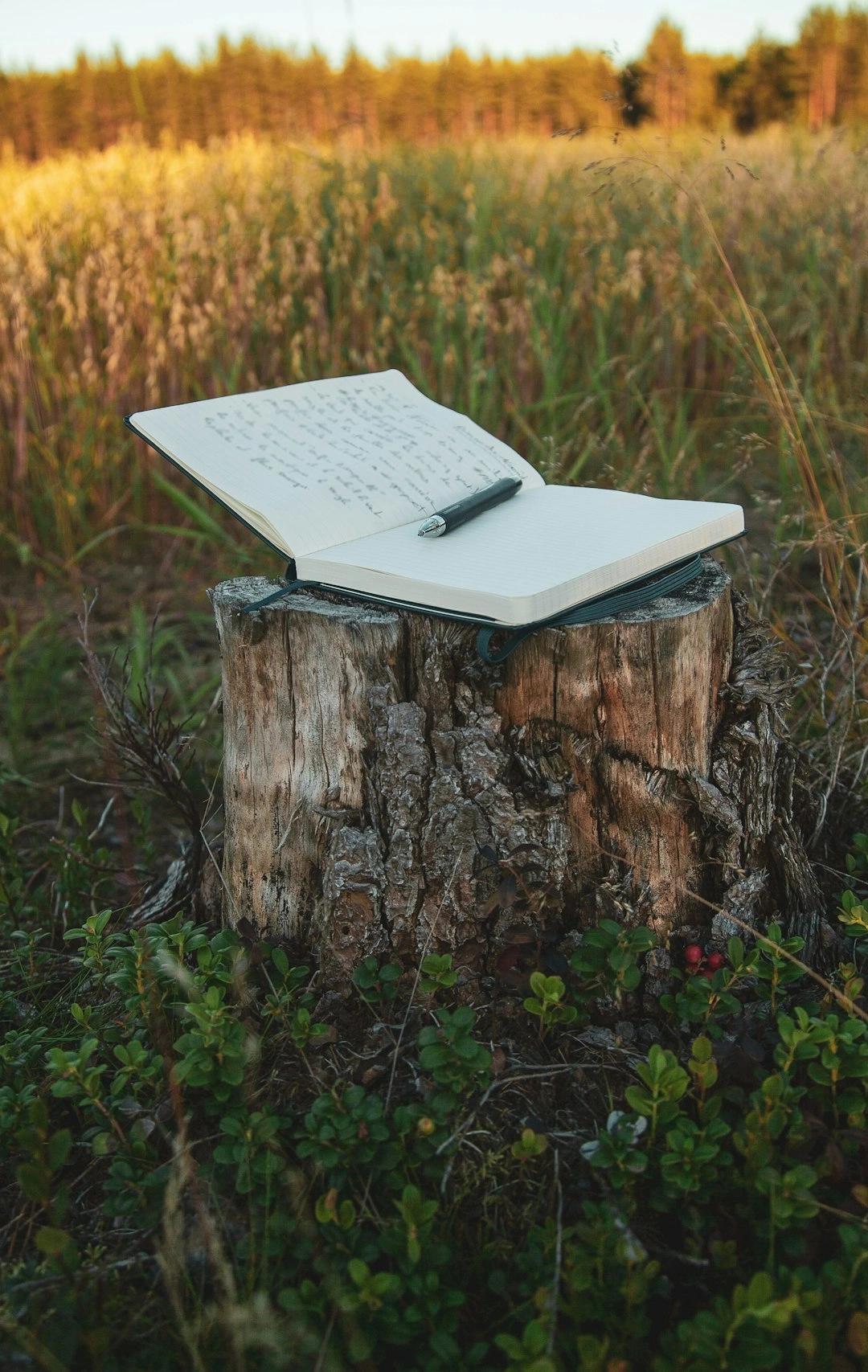 The Consistent Writer – Fantasy, Fairy Tales, and Speculative Fiction (In-Person & Online)