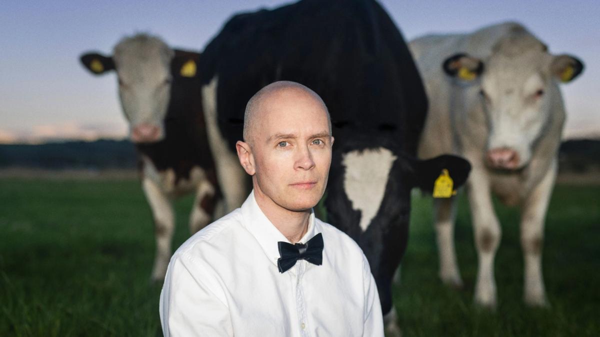 Jens Lekman – Bryggan