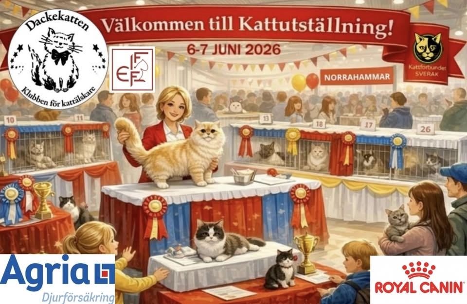 Kattutställning Norrahammar