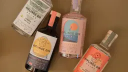 Ginprovning med Kyflinge gin & god mat