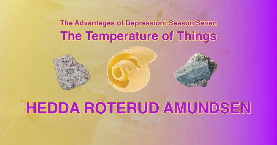 The Temperature of Things - Hedda Roterud Amundsen