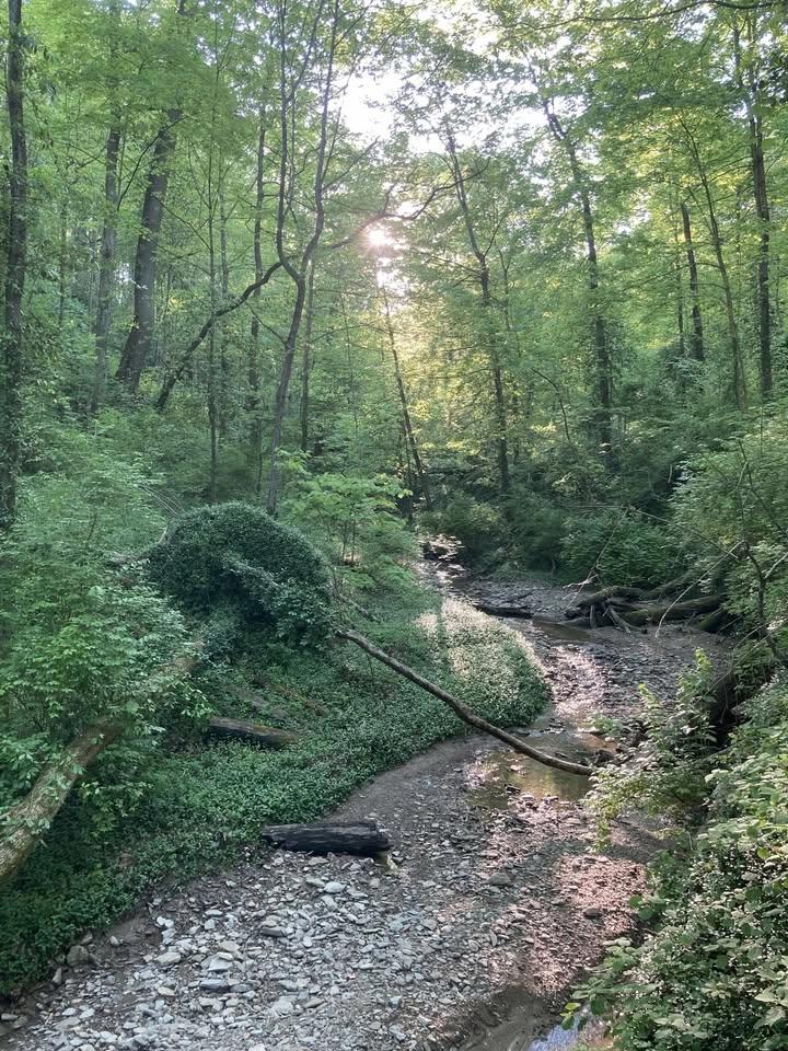 Nurtured By Nature Walking Series (Tuesdays)