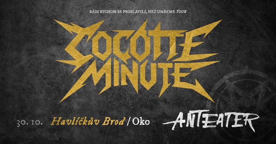 COCOTTE MINUTE/Anteater Havlíčkův Brod 2026