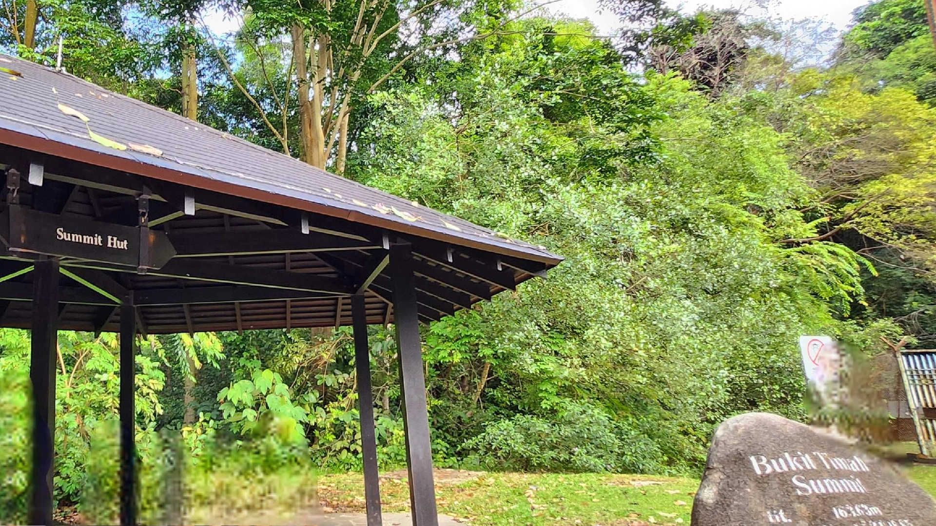 ⛰️⬆️↘️🪖 Rifle Range-Quarry-Bt Timah Summit (BTS)-Catchment Path-MacRitchie