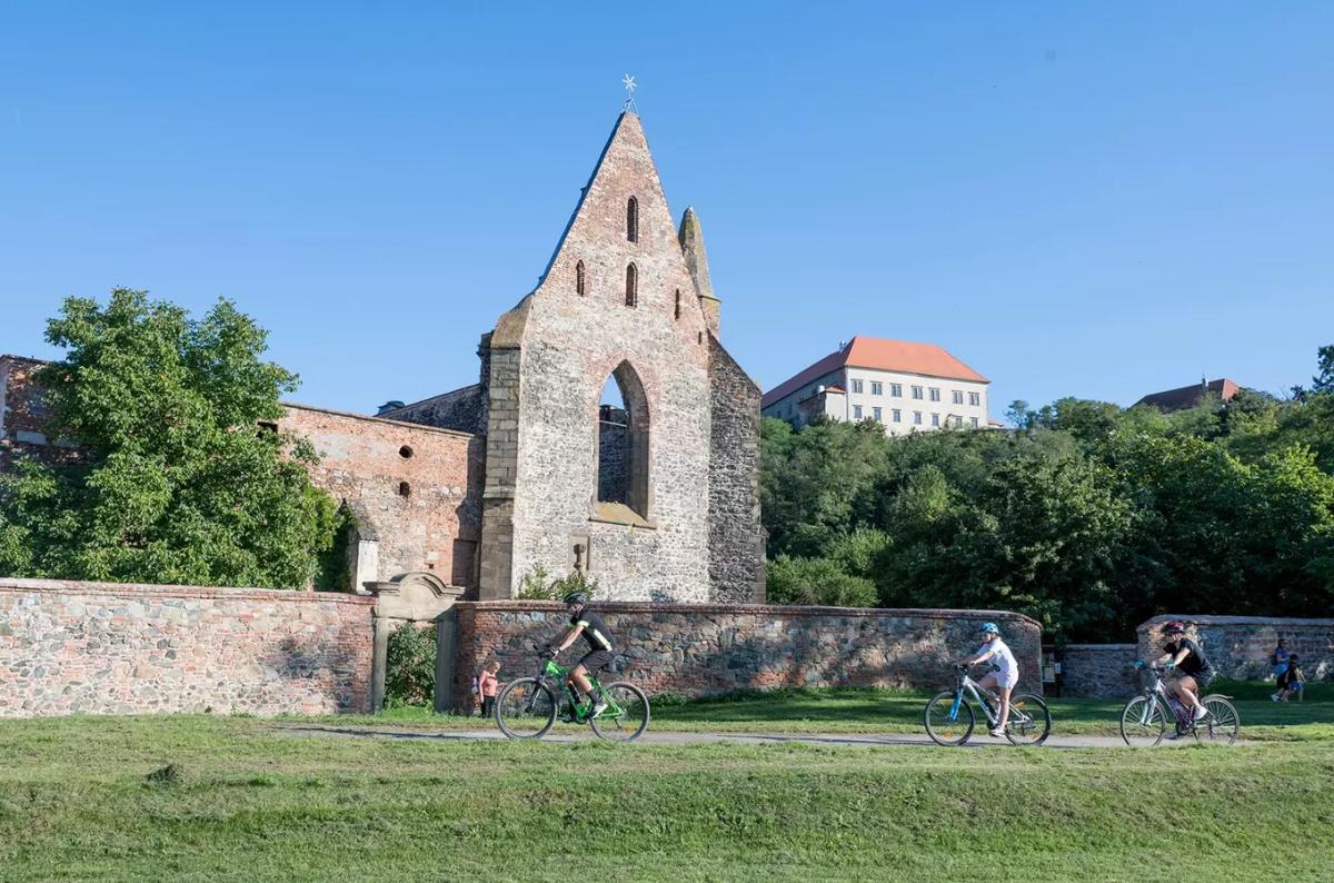 Krajem vína – Na kole a pěšky krajem Alfonse Muchy 2026
