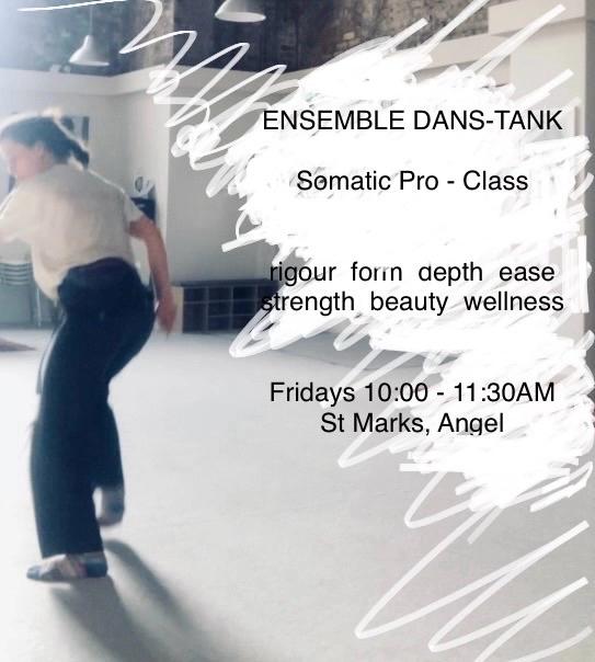 ENSEMBLE DANS TANK Somatic Pro Class
