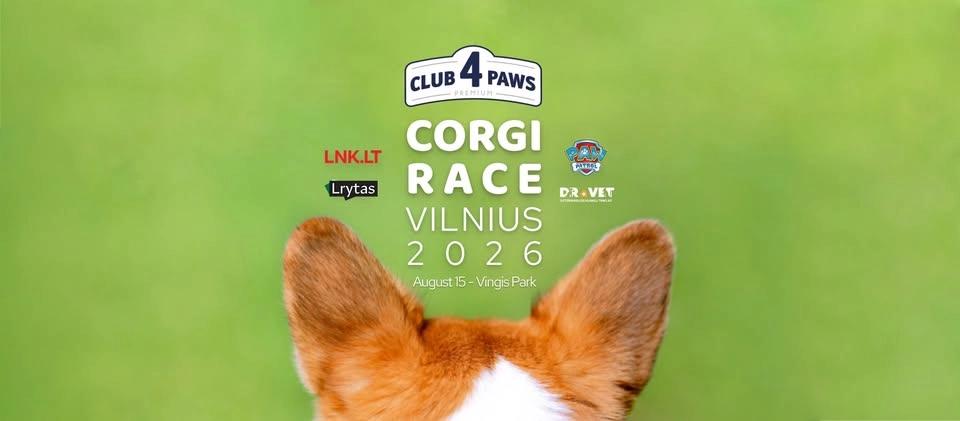 Corgi Race Vilnius 2026