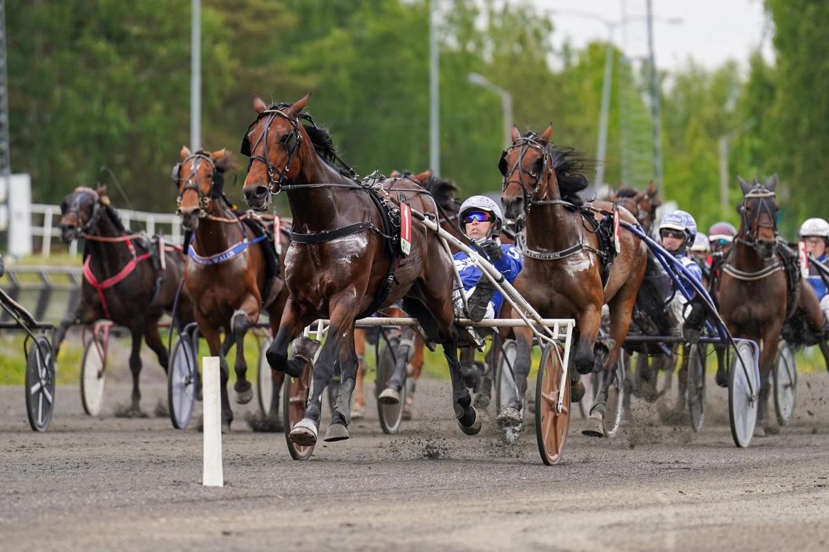 Kommande travdagar på Bergsåker - Upplevelser värda att göra om flera gånger!