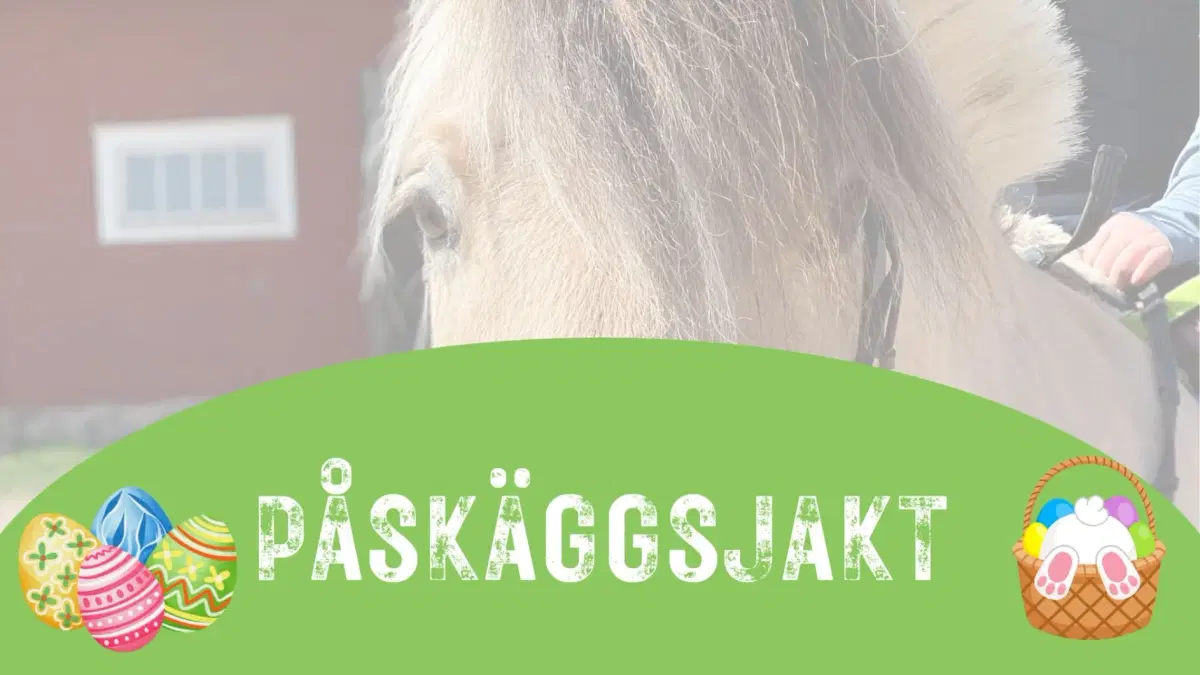 Påskäggsjakt