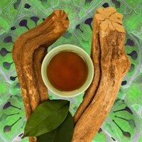 The Science of DMT & Ayahuasca
