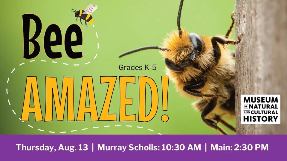Museum of Natural & Cultural History: BEE Amazed