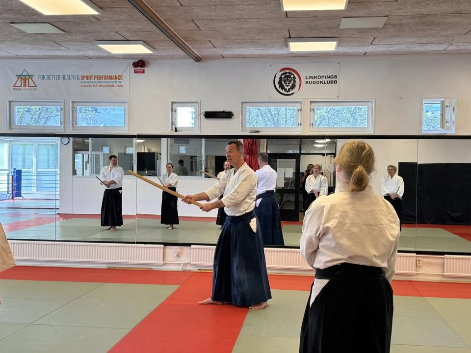 Aikidoläger med Björn Säw