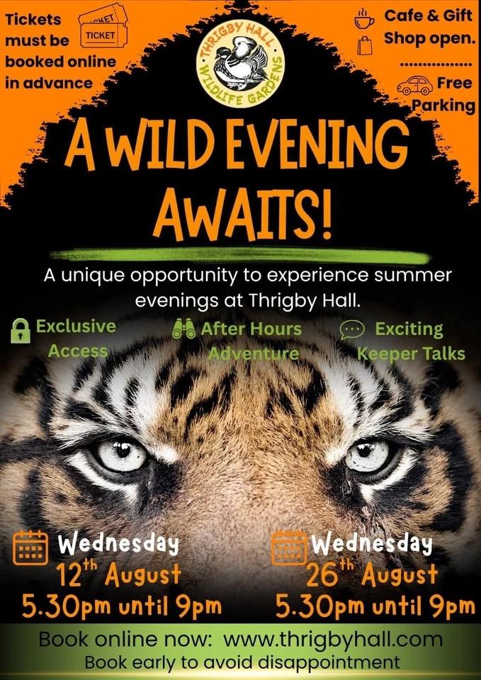 Summer Evenings at Thrigby Hall