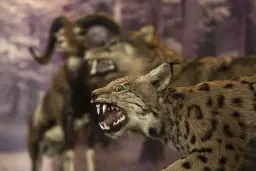 Príroda Malých Karpát