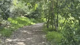 Funtastic Hike Exploring Griffith Park. Moderate Paced!